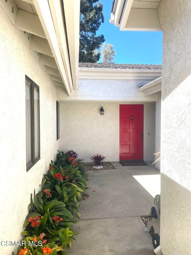 Foto del edificio - 4328 Forest Oaks Dr