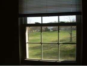 Building Photo - 202 Elmwood Dr
