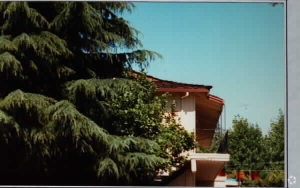 Building Photo - Kinjo Gardens
