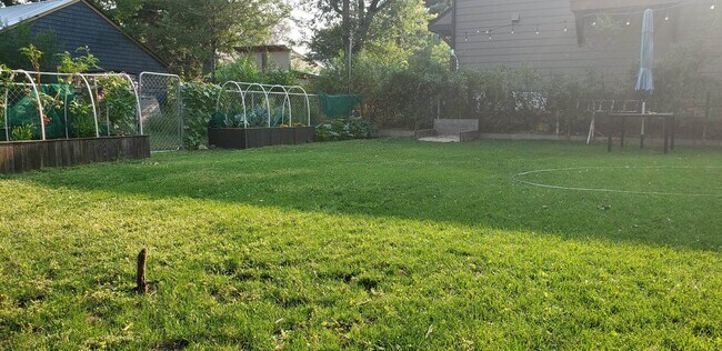 Expansive finished yard - 819 E Yampa St