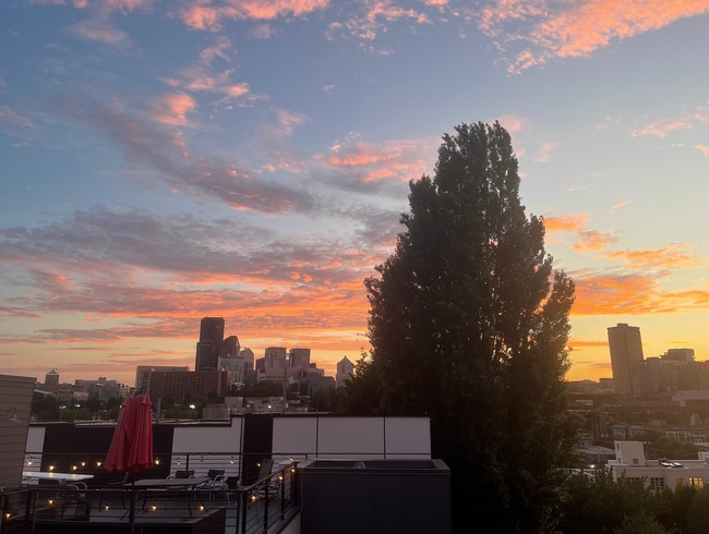 Capitol Hill/Cherry Hill Townhouse - Capitol Hill/Cherry Hill Townhouse