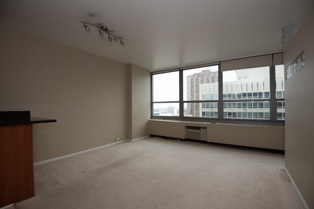 Building Photo - 3550 N Lake Shore Dr