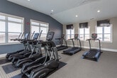 This fitness center is a comprehensively outfitted exercise facility designed to accommodate a wide range of workout needs. The space is organized into distinct functional zones, each dedicated to a specific type of training. The cardio area is well-stocked with True-brand treadmills, elliptical machines, and a stationary bike, all positioned along walls lined with large, white-shuttered windows that flood the room with natural light and offer open outdoor views. Mounted flat-screen televisions are positioned throughout for entertainment during workouts.

The strength training area features a multi-station cable machine, a dedicated free weight section with a full rack of hex dumbbells in varying weights, and additional benches and equipment. Rubber floor mats are placed beneath the equipment for safety and durability, while neutral-toned carpet covers the remaining floor areas.

Architecturally, the space features vaulted ceilings with recessed lighting and ceiling fans, contributing to an open, airy atmosphere. The walls are finished in a two-tone color scheme of slate blue and warm beige. A water fountain and storage cubbies are also present, adding functional convenience. The overall design is clean, modern, and practical.