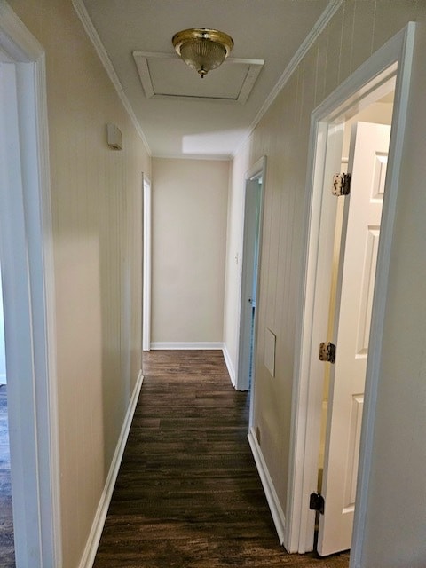 Building Photo - 2630 Cherry Cir