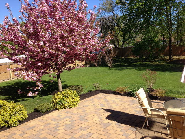 Foto del edificio - 157 Little Plains Rd