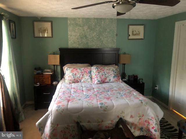 Foto del edificio - 10532 Lime Tree Way