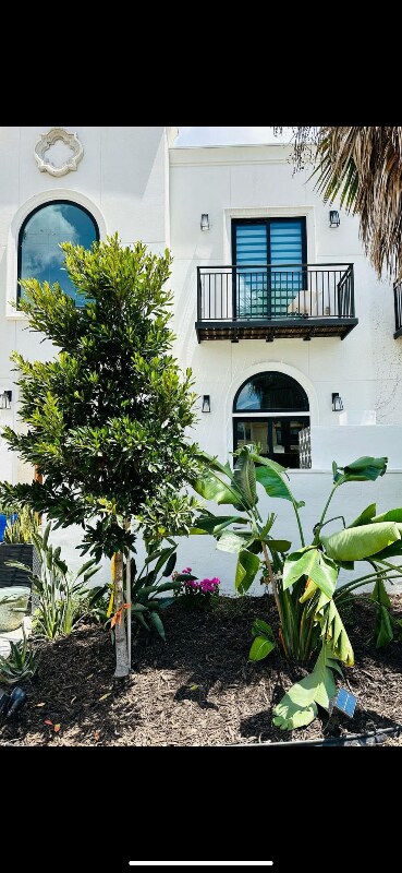 Foto del edificio - 915 Lucia Dr