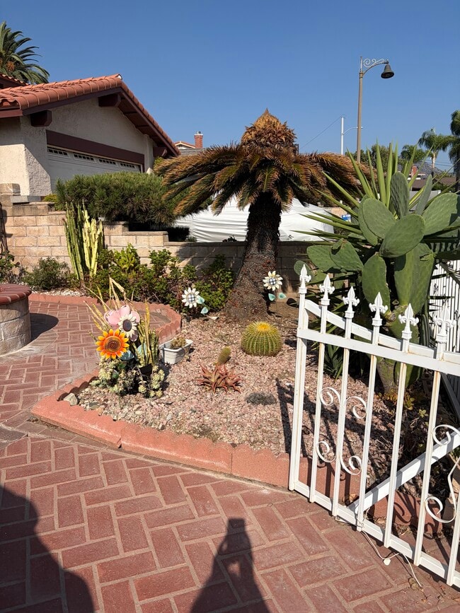 Outside landscaping - 3343 Tannencrest Dr