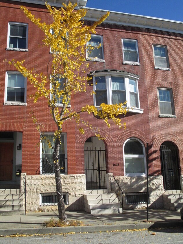 Primary Photo - 4 Bedroom MODERN Townhome in Station North...