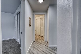 Interior Photo - The Pines