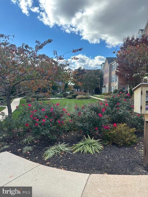 Primary Photo - 5012 Cameo Terrace