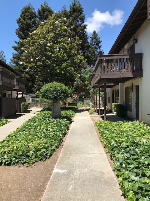 inner court - 270 Franciscan Ct