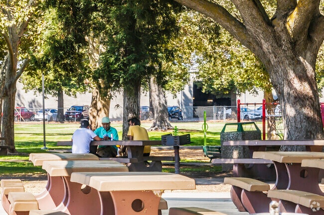 Sam Brannan Park in Yuba City is a great place to play cards in the shade.