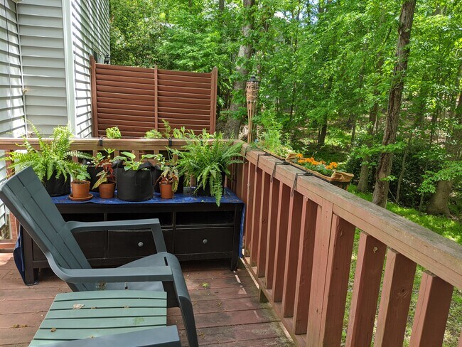 Deck - 105 Regent Plz