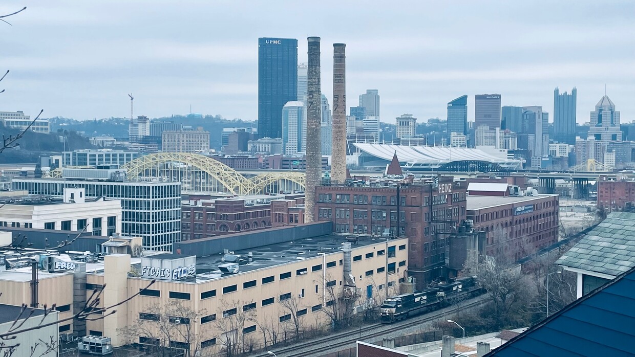 View of city from deck - 1147 Basin St