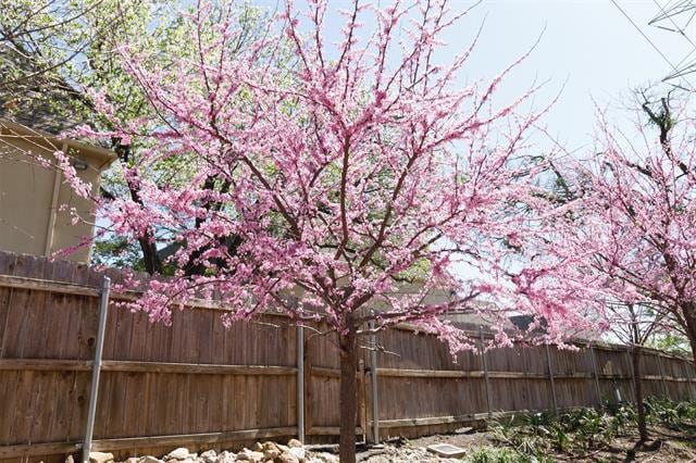 Foto del edificio - 4044 Buena Vista St