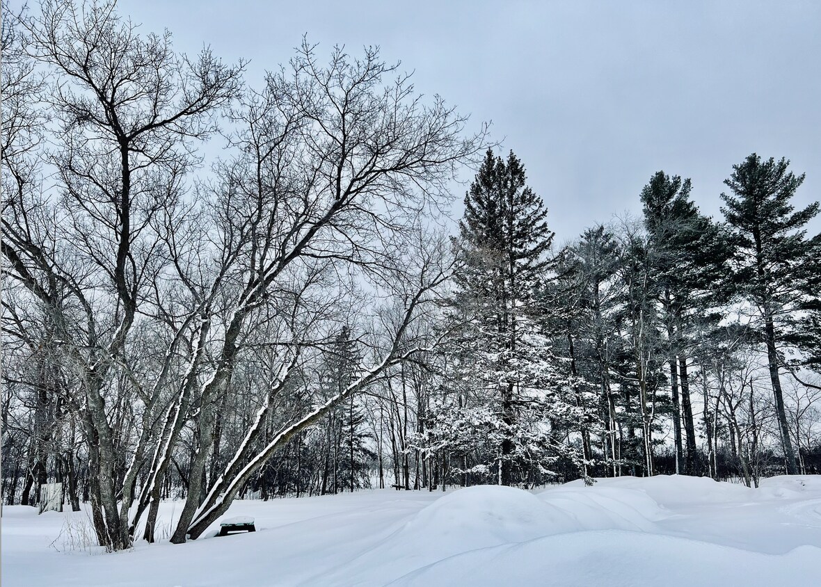 18939 State 87, Park Rapids, MN 56470 House Rental in Park Rapids, MN