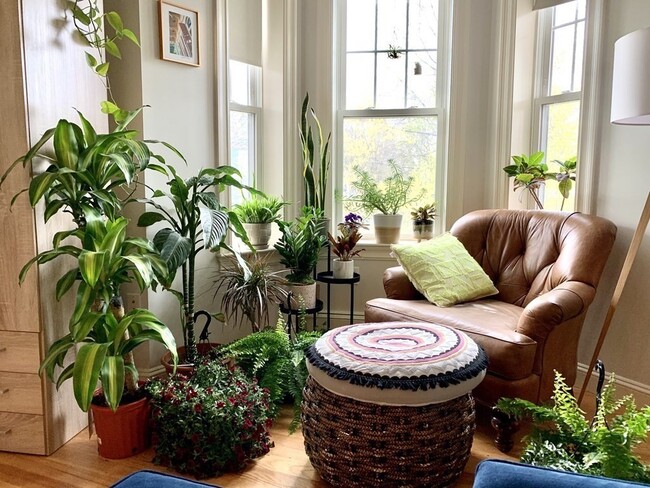 Foto del edificio - 9 Savin Hill Ave