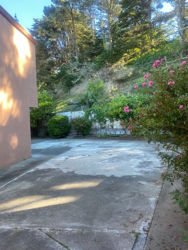 Foto del edificio - 204 Palisades Dr