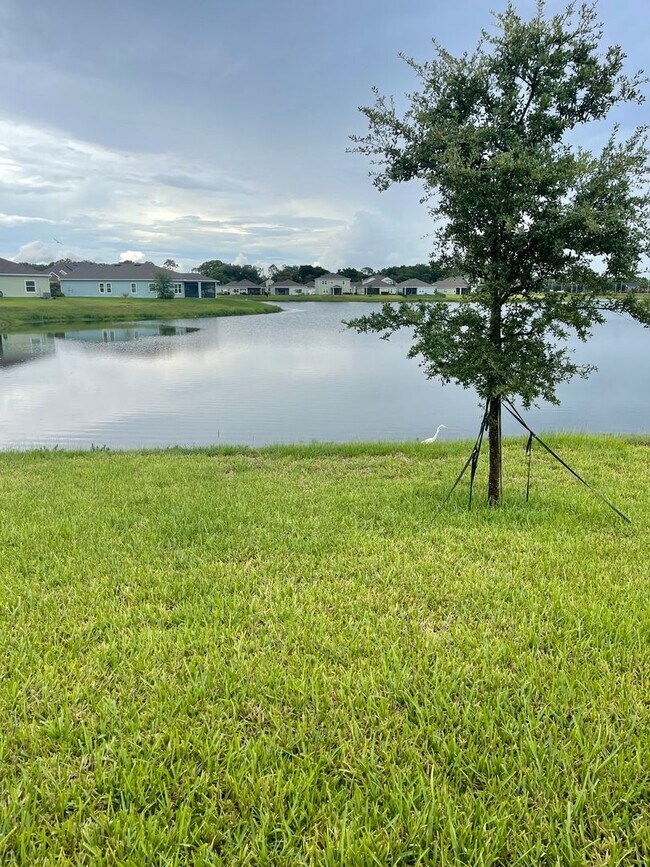 Building Photo - Stunning 4-Bedroom Home in Mill Creek with...
