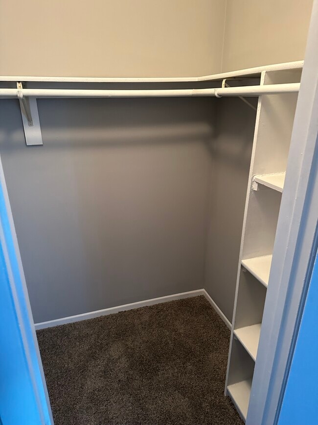 Building Photo - 8643 Cipriano Springs Ct