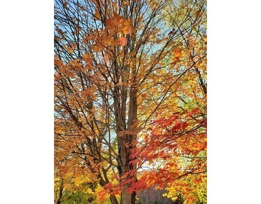 Foto del edificio - 39 Chapman St