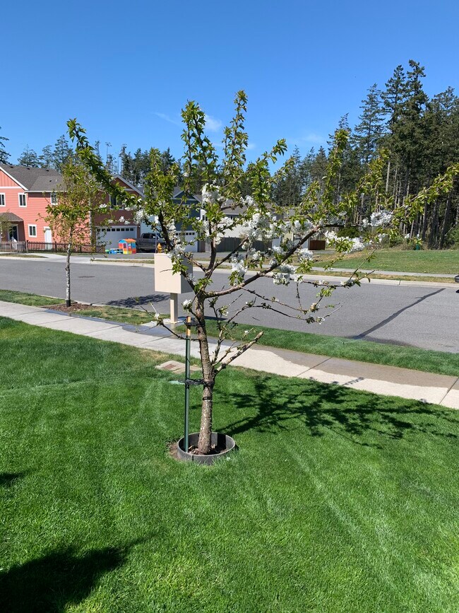 Building Photo - 1573 NW 6th Ave