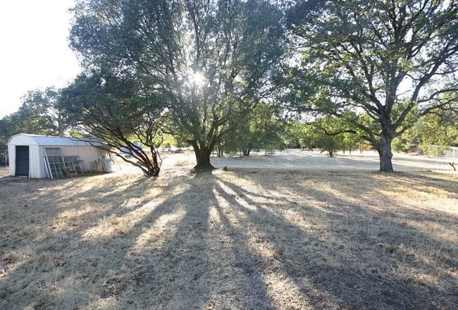 Building Photo - Country Living - Home on One Acre - Cotton...