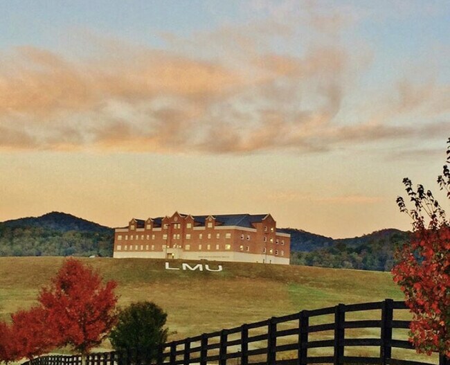 Building Photo - Buena Vista