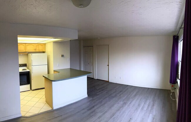 Living room and kitchen - 130 S 1300 E