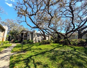 Building Photo - 14211 Shadow Moss Ln