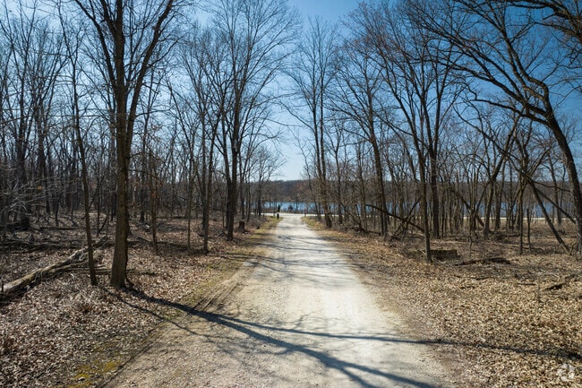 Over 40 miles of nature trails wind throughout tree-cladded woods around Palos Hills.