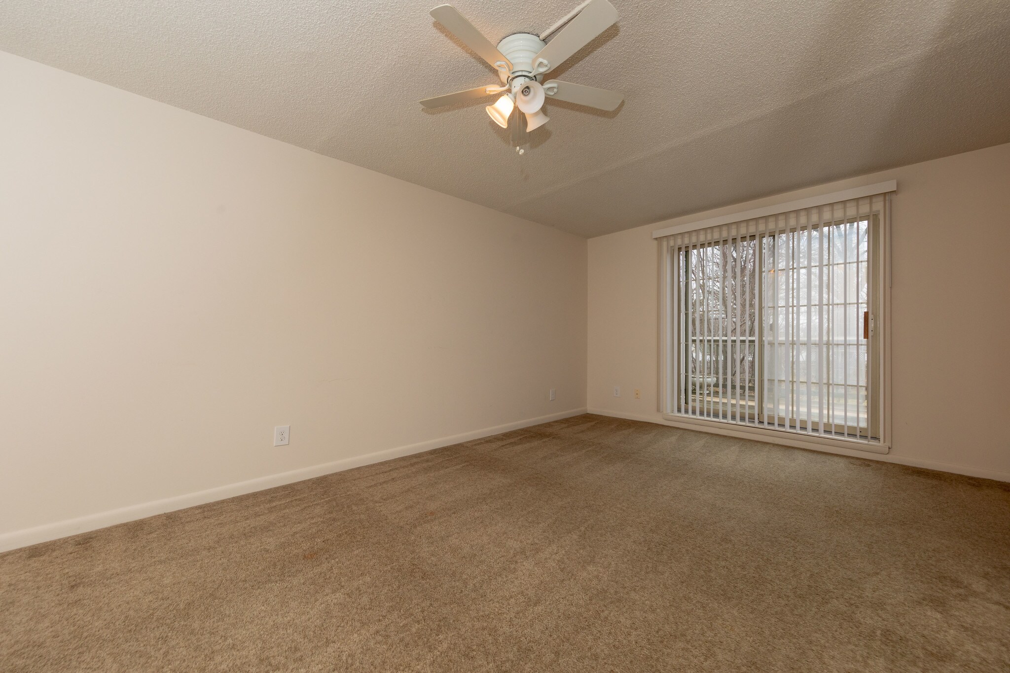Arbor Grove Lorain – photo 5