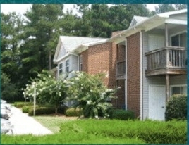 Exterior - Elm Tree