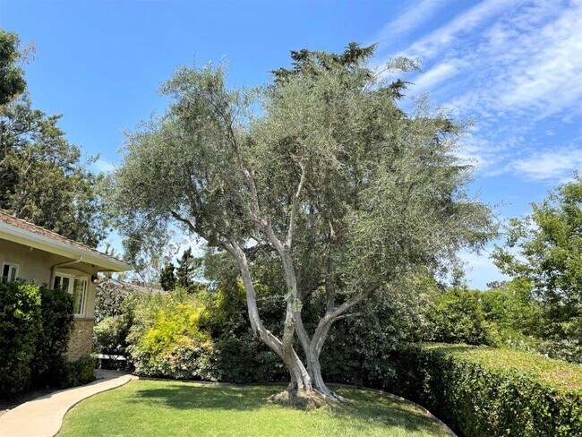 Building Photo - 6 Singletree Ln