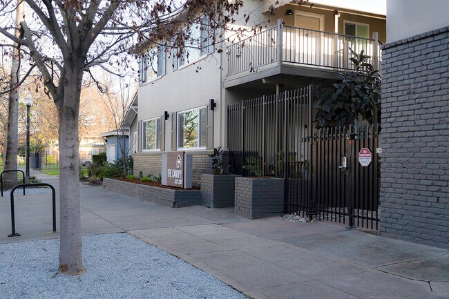 El dosel - The Canopy