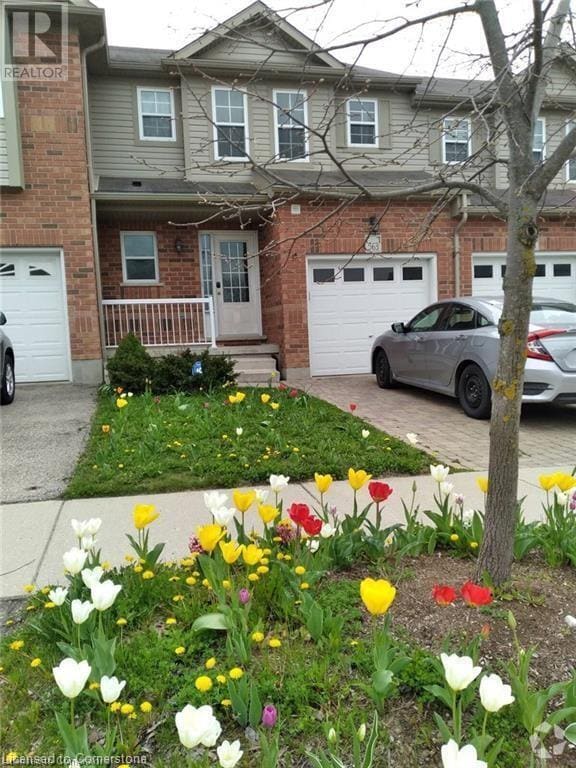 Building Photo - 563 Chablis Dr