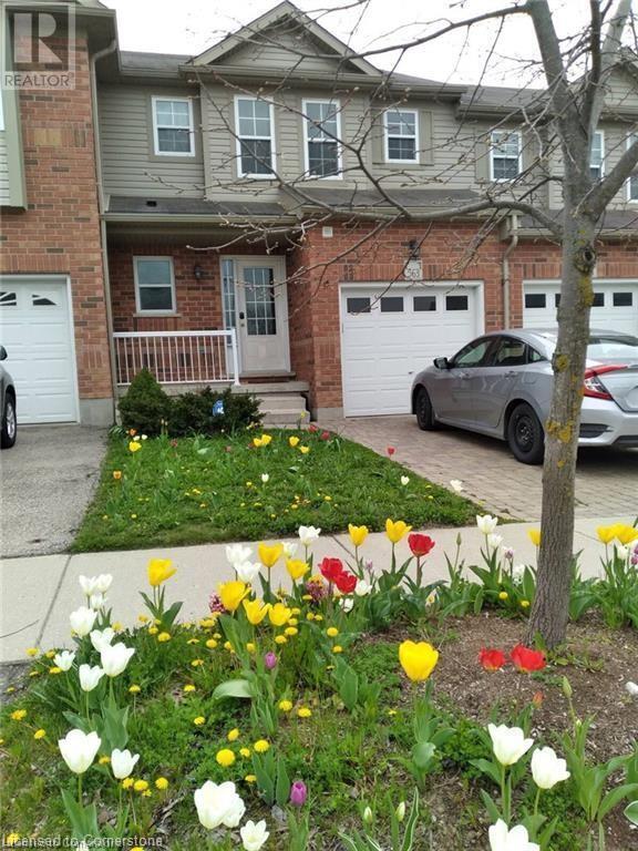 Primary Photo - 563 Chablis Dr