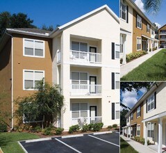 Apartments On Busch Blvd Tampa Fl Apartments On Busch Blvd Tampa Fl