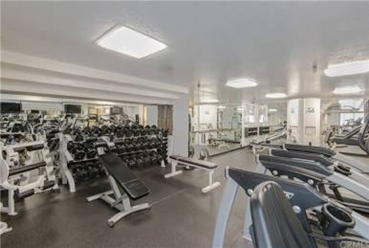2bed 2bath in Los Angeles - 2bed 2bath in Los Angeles