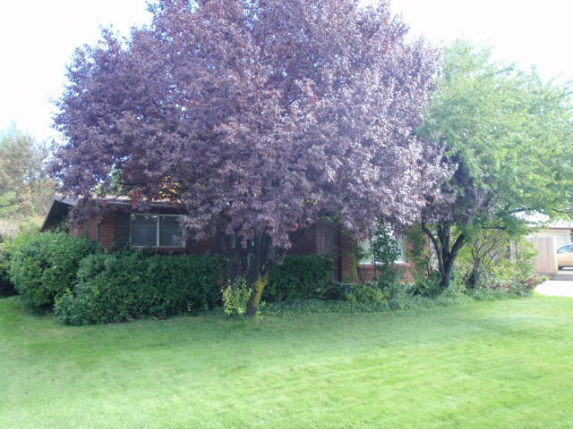 Foto del edificio - East Layton Home with Beautiful Landscapin...