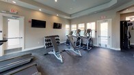 This fitness center is a comprehensively outfitted facility designed to support a full range of workout routines. The space is organized across distinct workout zones, all unified by durable dark rubber flooring and neutral warm-toned walls that create a clean, focused environment.

The cardio area is a standout feature, lined with multiple treadmills positioned in front of a row of large windows that bring in abundant natural light and offer views of the surrounding outdoor area. A full-length mirror along one wall amplifies the sense of space and allows users to monitor their form. Overhead, a tray ceiling with recessed lighting adds a refined architectural touch to the room.

An adjacent strength and cross-training zone houses wall-mounted suspension trainers, a cable machine, and a free weight rack stocked with a complete set of dumbbells accompanied by a workout bench. A wall-mounted flat-screen television provides entertainment during training sessions. Upper transom windows allow additional natural light to filter in without sacrificing wall space needed for equipment.

A separate area accommodates elliptical machines alongside additional flat-screen displays and a second dumbbell rack, making it a versatile space for both cardio and strength work. Throughout the facility, the layout is thoughtfully arranged to ensure ample open floor space for stretching or functional training exercises.