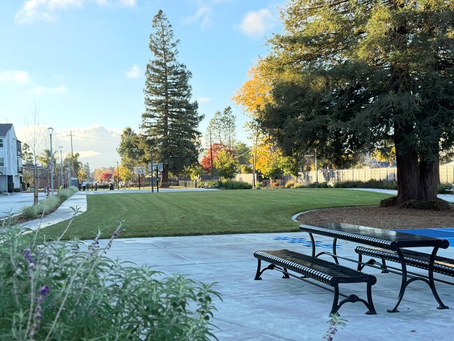 Foto del edificio - 463 Rosewood Ave