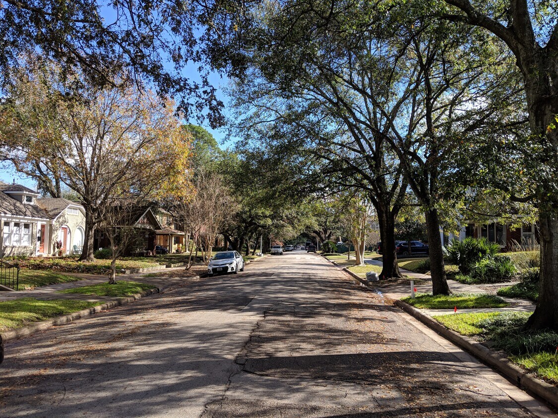 Located on a beautiful, tree-lined street in an easily walkable neighborhood. - 1745 Kipling St