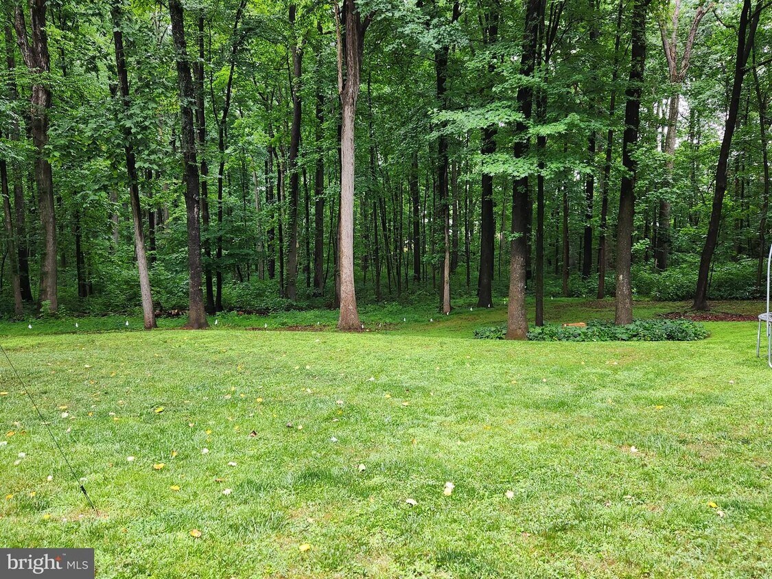 4405 Lakewood Dr, Warrenton, VA 20187 House Rental in Warrenton, VA