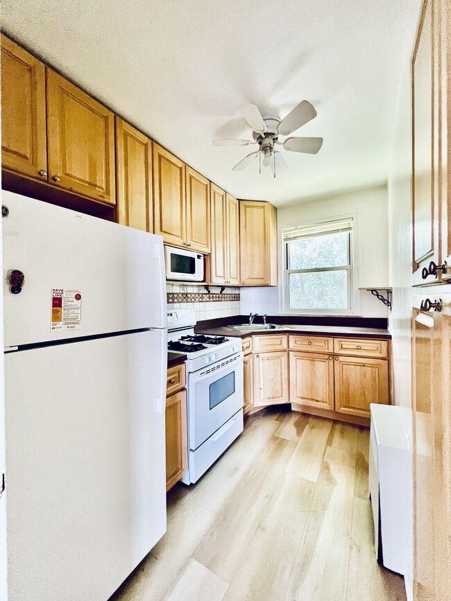 Kitchen - 11 Stokes Rd
