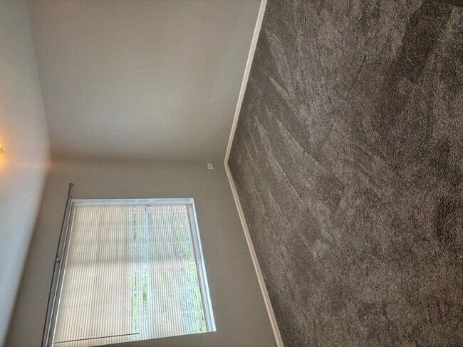 Foto del edificio - 59 S Treehouse Ln