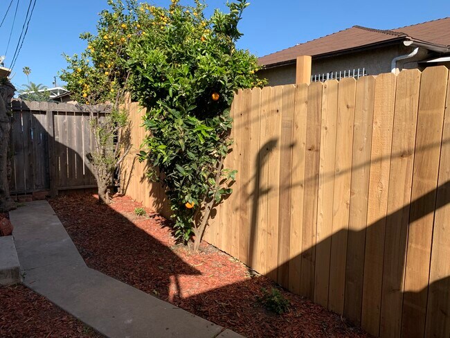 Private Yard - 1828 Cabrillo Ave