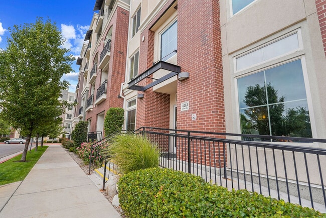 Entrance - Birkhill Apartments