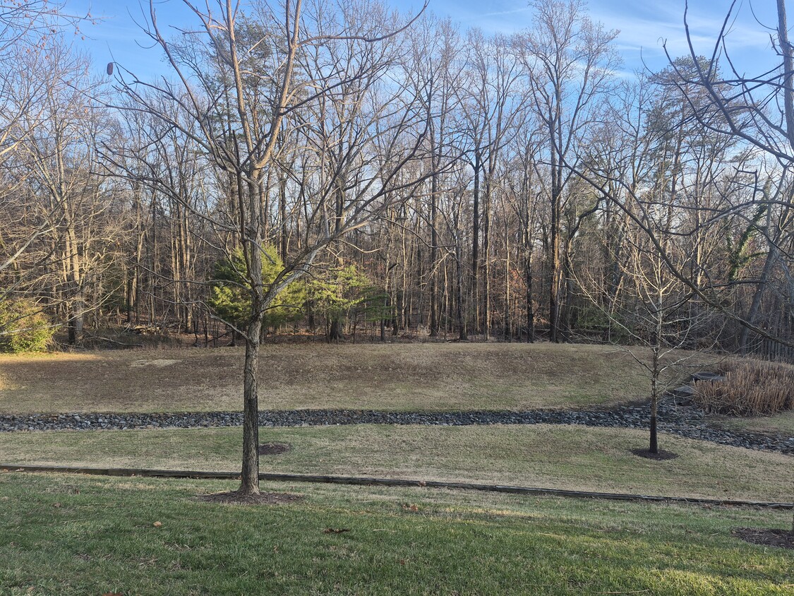 Building Photo - 13409 Shady Knoll Dr